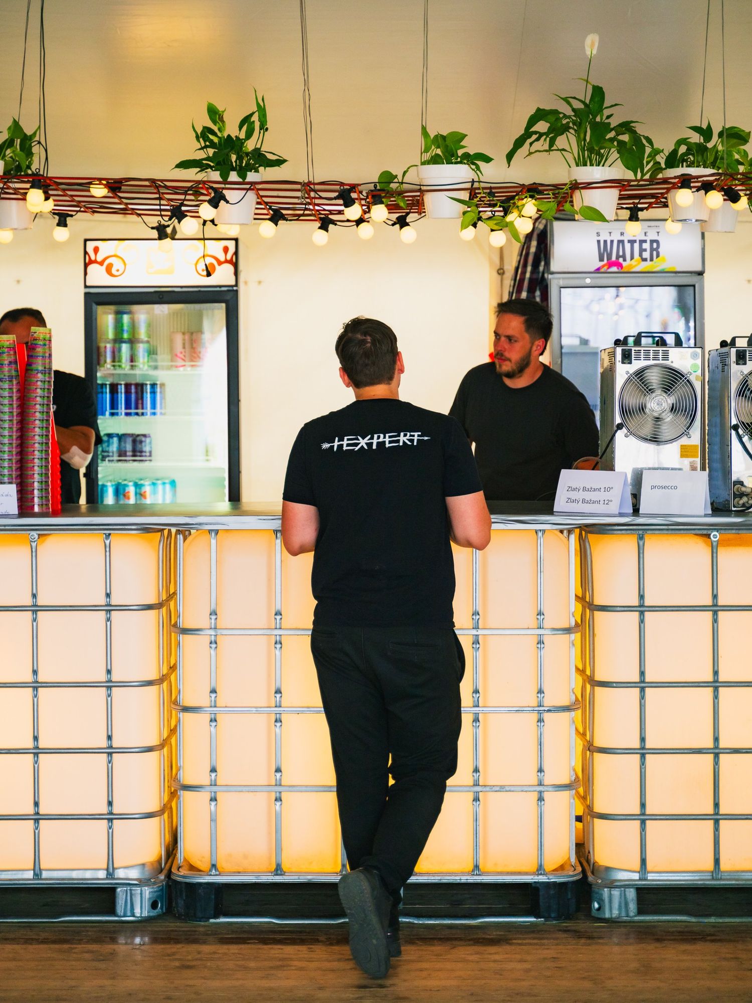 HEXPERT crew shirt, back, worn at the bar